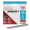 Arrow Fastener Heavy Duty Staples, T50, 18 ga, Flat Crown, 1/4 in Leg L, Stainless Steel, 1000 PK 504SS1